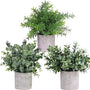 GreenDream® Kunstplanten - stuks - Cadeautip