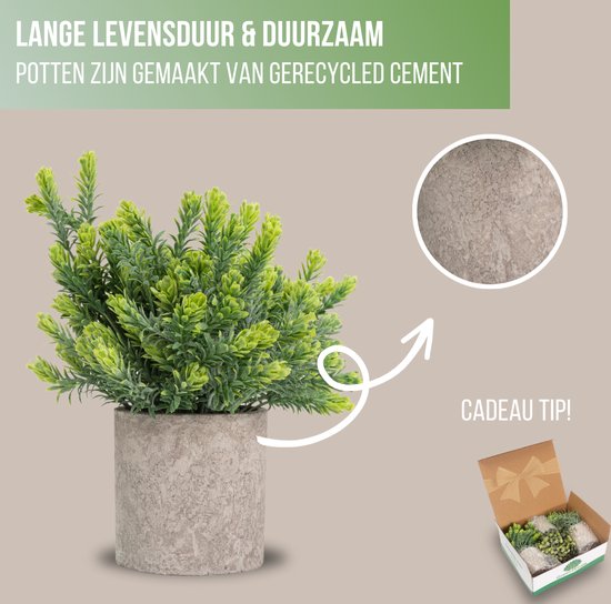 GreenDream® Kunstplanten set met 3 Kleine kunstplanten 20 cm - Cadeautip