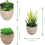 3 stuks Kunstplanten - Kamerplanten - Nep planten - Vetplanten - Cadeautip