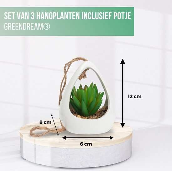 GreenDream® Kunstplanten - in - Cadeautip