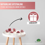 GreenDream® Kunstplanten - in - Cadeautip