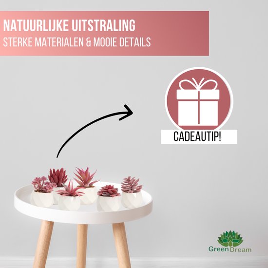GreenDream® Kunstplanten - in - Cadeautip