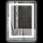 4goodz Badkamerspiegel 50x70 cm met Touch Verlichting en Planchet