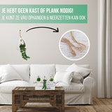 GreenDream® Kunstplanten - in - Cadeautip