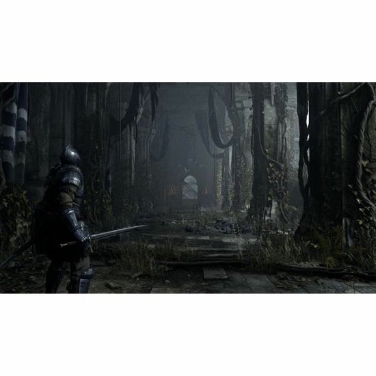 Sony Demon’s Souls, PlayStation 5, Multiplayer modus, M (Volwassen)