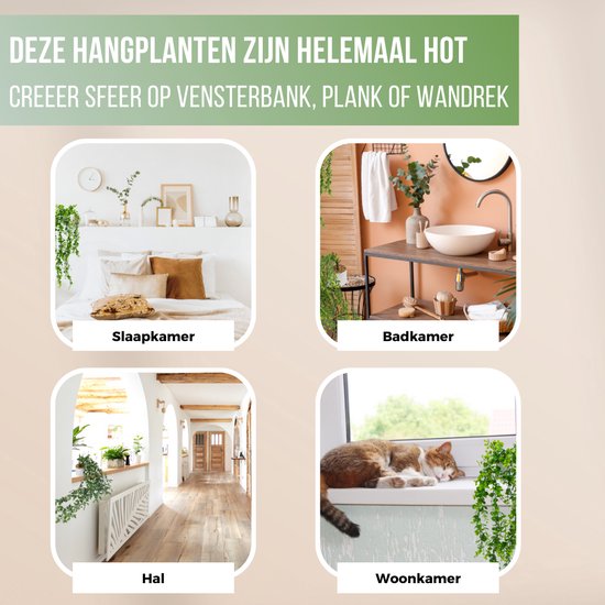 GreenDream® Kunstplanten - in - Cadeautip