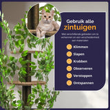 Kattenboom - Krabpaal voor Katten - 160 - Verwisselbare bladeren - Extra Stabiel