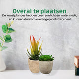 GreenDream® Mini Kunstplanten - Vetplanten in Pot 6 stuks - Cadeautip