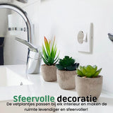 Kunstplanten - Vetplanten - stuks - Cadeautip