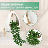 GreenDream® Kunstplanten - in - Cadeautip