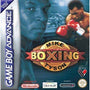 Mike Tyson Boxing