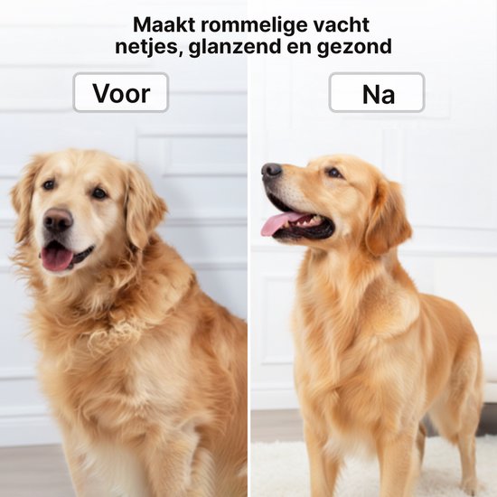 Carewat 6-in-1 Huisdier Stofzuiger en Trimmer Set – Professionele Hondentondeuse met Stofzuiger – Trimset Hond en Kat – Stil, Krachtig en Hygiënisch