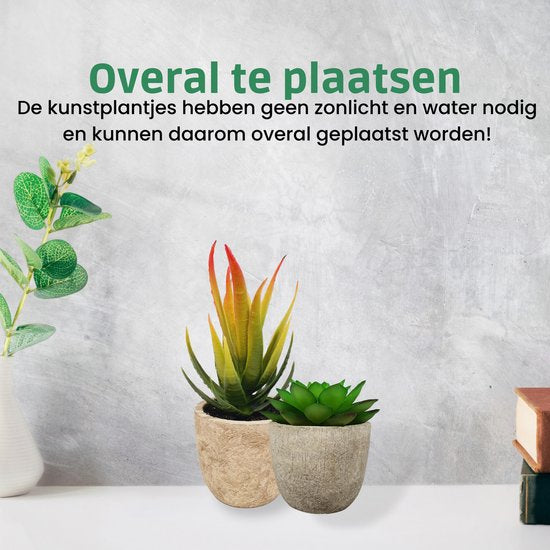 Kunstplanten - Vetplanten - stuks - Cadeautip