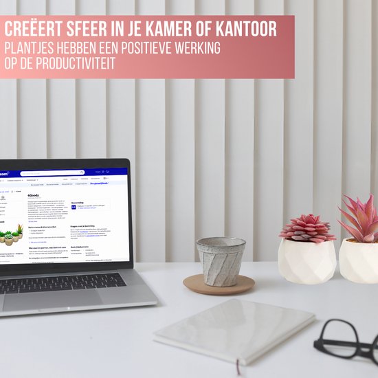 GreenDream® Kunstplanten - in - Cadeautip