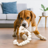 Hondentouw Kauwspeeltje – Sterk en Natuurlijk Katoen – Tandverzorging & Trekspel – Duurzaam Hondenspeelgoed voor Kleine en Grote Honden – Wit