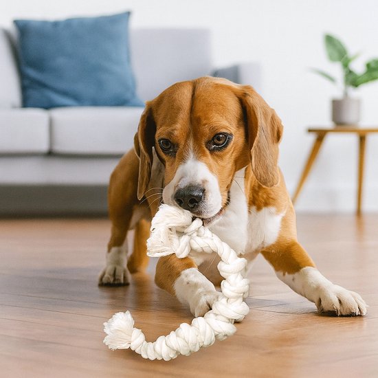 Hondentouw Kauwspeeltje – Sterk en Natuurlijk Katoen – Tandverzorging & Trekspel – Duurzaam Hondenspeelgoed voor Kleine en Grote Honden – Wit