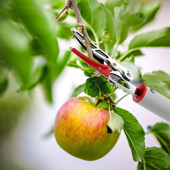 Takkenknipper voor snoeien - Tuinsnoeischaar met lange aluminium steel