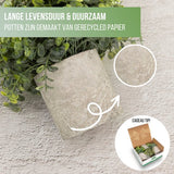 GreenDream® Kunstplanten set met 3 Kleine kunstplanten 20 cm - Cadeautip