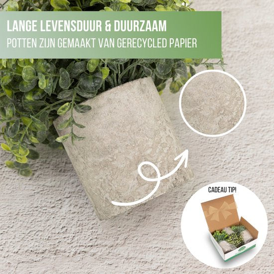 GreenDream® Kunstplanten set met 3 Kleine kunstplanten 20 cm - Cadeautip