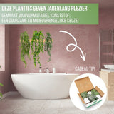 GreenDream® Kunstplanten - in - Cadeautip