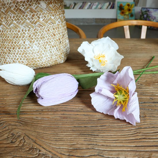 DIY Krans Maken Set van Crêpepapier Complete Creatieve Knutselset voor Papieren Bloemenkrans Inclusief Instructies voor Volwassenen en Kinderen