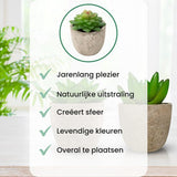 GreenDream® Mini Kunstplanten - Vetplanten in Pot 6 stuks - Cadeautip