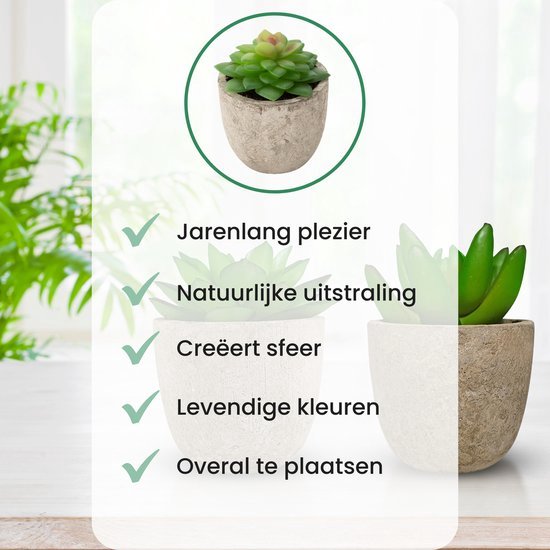 GreenDream® Mini Kunstplanten - Vetplanten in Pot 6 stuks - Cadeautip