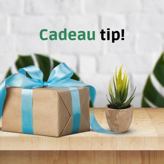 GreenDream® Mini Kunstplanten - Vetplanten in Pot 6 stuks - Cadeautip