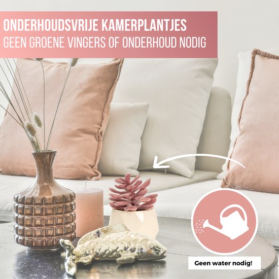 GreenDream® Kunstplanten - in - Cadeautip