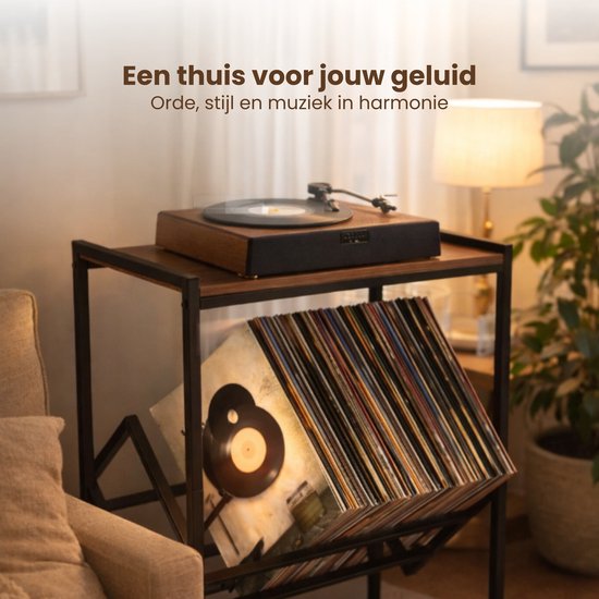 LP Opbergsysteem - Zwart met Hout