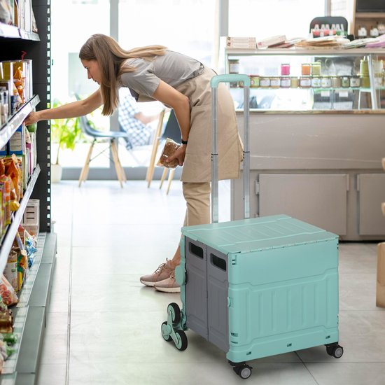 Winkelwagen Vouwkrat Trapklimmer Opvouwbaar max. 65 Kg Belastbaar - Mintgroen