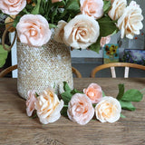 DIY Krans Maken Set van Crêpepapier Complete Creatieve Knutselset voor Papieren Bloemenkrans Inclusief Instructies voor Volwassenen en Kinderen