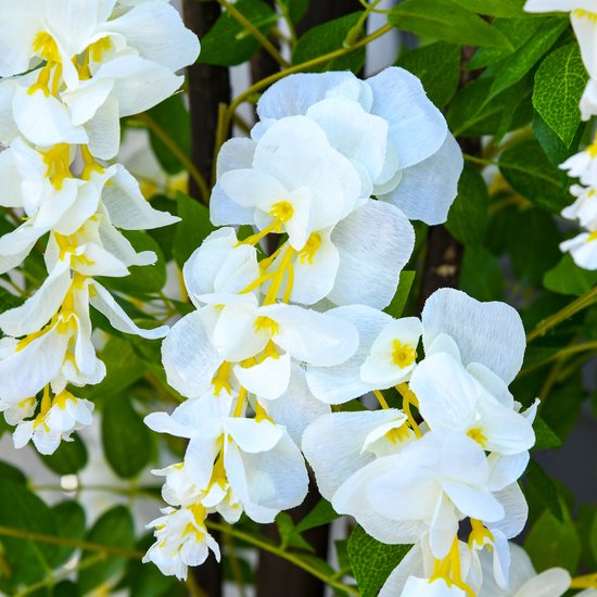Kunstplant Blauwe Regen in witte uitvoering 165 cm in pot - Wit