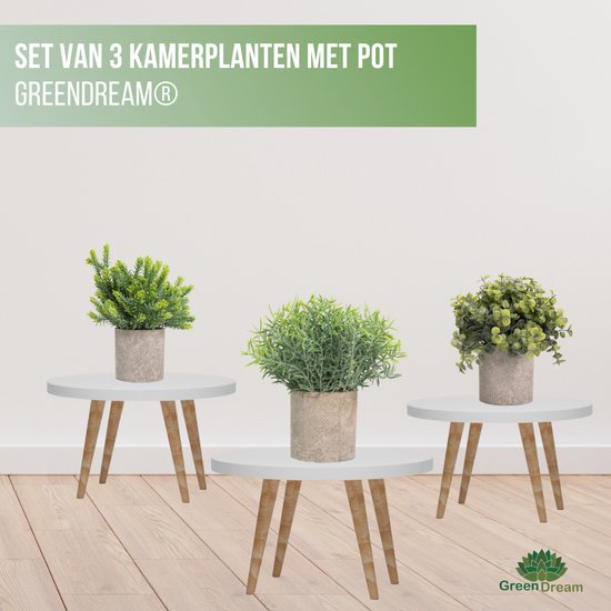 GreenDream® Kunstplanten set met 3 Kleine kunstplanten 20 cm - Cadeautip