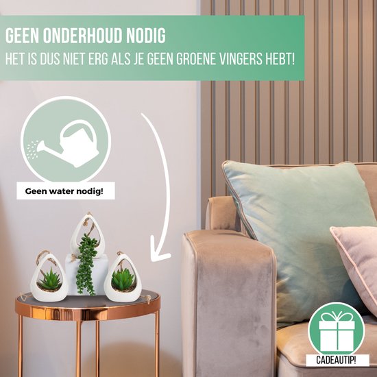 GreenDream® Kunstplanten - in - Cadeautip