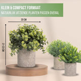 GreenDream® Kunstplanten set met 3 Kleine kunstplanten 20 cm - Cadeautip