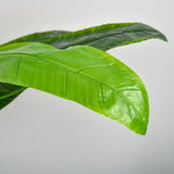 Kunstplant Bananenboom Decoratieve Kunstplant 150 cm