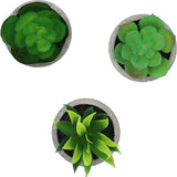 3 stuks Kunstplanten - Kamerplanten - Nep planten - Vetplanten - Cadeautip