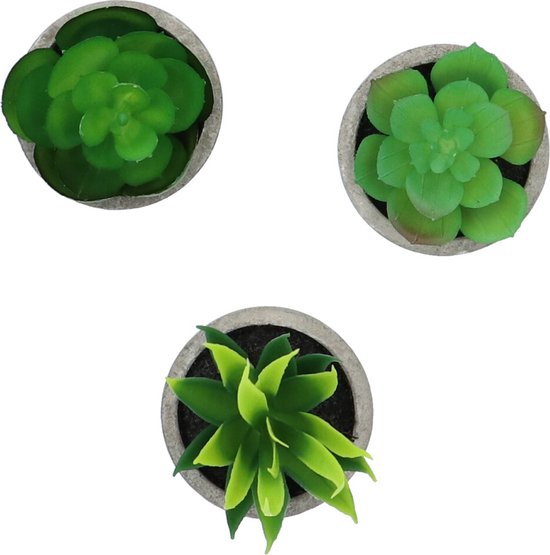 3 stuks Kunstplanten - Kamerplanten - Nep planten - Vetplanten - Cadeautip