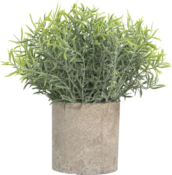 GreenDream® Kunstplanten set met 3 Kleine kunstplanten 20 cm - Cadeautip