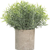 GreenDream® Kunstplanten set met 3 Kleine kunstplanten 20 cm - Cadeautip