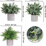 GreenDream® Kunstplanten - stuks - Cadeautip