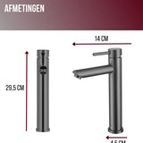 Luzzo® Como - RVS Wastafelkraan Hoog