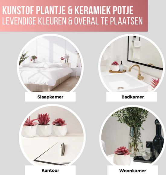 GreenDream® Kunstplanten - in - Cadeautip