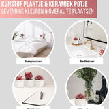 GreenDream® Kunstplanten - in - Cadeautip