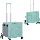 Winkelwagen Vouwkrat Trapklimmer Opvouwbaar max. 65 Kg Belastbaar - Mintgroen