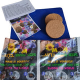 Sasemy - Zomer - Bloem zaden - Wilde Bloemen - Zomerbloemen - Kleuren in je tuin - Bijen en Vlinders - Gele en oranje wilde bloemen