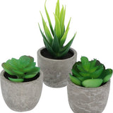 3 stuks Kunstplanten - Kamerplanten - Nep planten - Vetplanten - Cadeautip