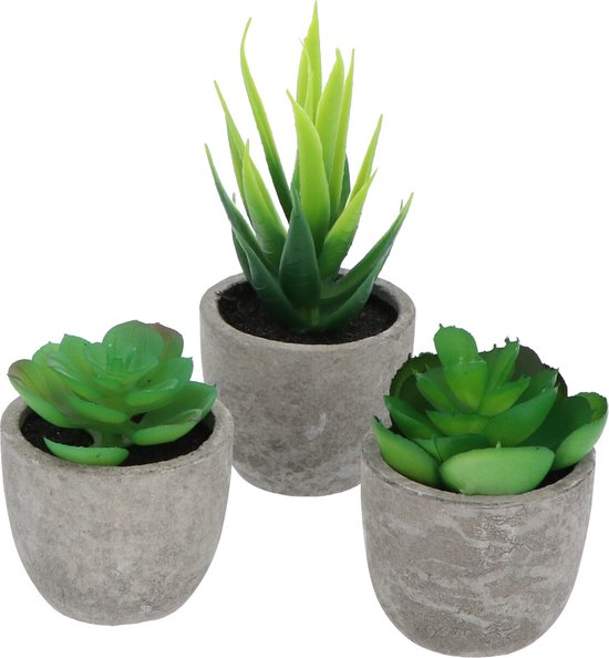 3 stuks Kunstplanten - Kamerplanten - Nep planten - Vetplanten - Cadeautip