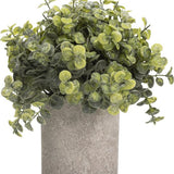 GreenDream® Kunstplanten set met 3 Kleine kunstplanten 20 cm - Cadeautip